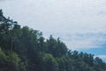 Trees on a background of blue neban with a tilted horizon