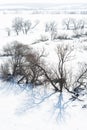 Trees on the bank of a frozen river, long blue shadows, bright sun and a white snow field Royalty Free Stock Photo