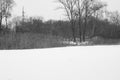 Trees on a bank of the frozen river Vorskla