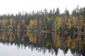 Trees on the bank of lake in the autumn