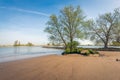 Trees on the bank of a river Royalty Free Stock Photo