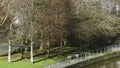 Trees on the bank of the river Water of Leith from Great Junction Bridge - Edinburgh, Scotland Royalty Free Stock Photo