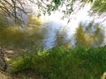 Trees on the banks of the Mures River - Arad city - Romania