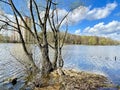 Trees on the banks of the Pekhorka River in April in clear weather. Russia, Moscow region, Balashikha city. Royalty Free Stock Photo