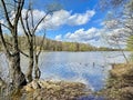 Trees on the banks of the Pekhorka River in April in clear weather. Russia, Moscow region, Balashikha city. Royalty Free Stock Photo