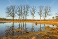 Trees with bare branches reflected in the mirror smooth water of a mere in wintertime Royalty Free Stock Photo