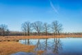 Trees with bare branches reflected in the mirror smooth water of a mere in wintertime Royalty Free Stock Photo