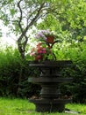 Trees and beautiful vase full flowers, Lithuania