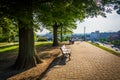 Trees and benches along a path at Federal Hill Park, Baltimore,