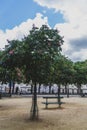 Trees and benches in Place Dauphine in Paris, France