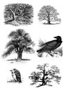 Trees and birds set of clip art