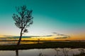 Trees Black dawn detail landscape