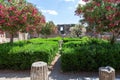 Trees blooming with pink and white flowers and vibrant green bushes set against the ruins of the Pompeii archaeological site.