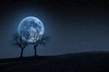 Trees in blue moon Royalty Free Stock Photo