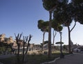 Trees and blue sky along a gravel path in Rome leading to Piazza Venetia