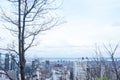 Trees and blue sky and city of Montreal