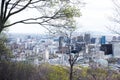 Trees and blue sky and city of Montreal