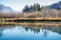 Trees and blue sky reflected in a tranquil lake Royalty Free Stock Photo