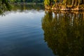 Trees and Blue sky are reflecting in forest lake. Beautiful Lanscape Royalty Free Stock Photo