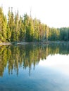 Trees and boat reflected in still lake Royalty Free Stock Photo