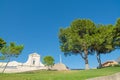 Trees in Bonaria square