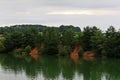 Trees border reflection at the lake