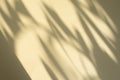 Trees branch and leaf with shadow on yellow paper background. Place for text, copy space, top view Royalty Free Stock Photo