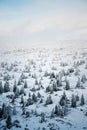 Trees branches bent under weight of snow and hoarfrost in beautiful snowy foggy winter landscape, Krkonose Mountains Royalty Free Stock Photo