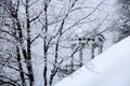 Trees with branches covered by frost and gazebo