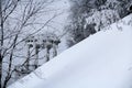 Trees with branches covered by frost and gazebo