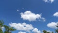 Trees branches frame beautiful green leaves against clear blue sky background image for nature background and nature design Royalty Free Stock Photo