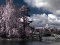 Trees and the bridge are reflected in the river, an infrared photo Royalty Free Stock Photo