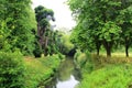 Trees and brook