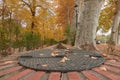 Trees with brown leaves in the garden of the Parterre in autumn