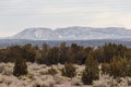 Trees and brush in a desert laying out before a large snow covered mountain range Royalty Free Stock Photo