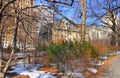Trees, buildings on the background, also the Dakota Building, Central Park, New York City, during winter. Royalty Free Stock Photo