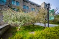 Trees and buildings at Loyola University Maryland, in Baltimore, Maryland.