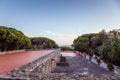 trees and bushed on the side of an old stone wall ruins and red tiled floor. Royalty Free Stock Photo