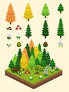 Isometric Simple Plants Set - Boreal Forest Autumn