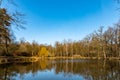 Trees and bushes reflecting in big pond Royalty Free Stock Photo