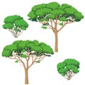 Trees and Bushes Set