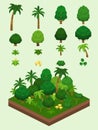 Isometric Simple Plants Set - Rainforest Biome