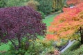 Trees in Butchart Gardens Royalty Free Stock Photo