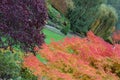 Trees in Butchart Gardens Royalty Free Stock Photo