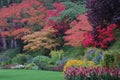 Trees in Butchart Gardens Royalty Free Stock Photo