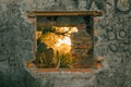 Nature through abandoned building window