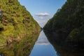 Trees on canal