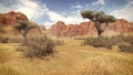 Trees in a canyon daytime 4