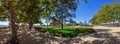 Trees casting fresh shade on the ground during summer in the Portas do Sol Garden