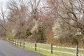 The trees are changing colors along this country lane.